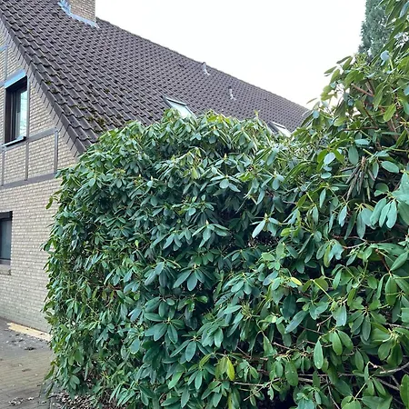 Apartmán Goder 95168 *