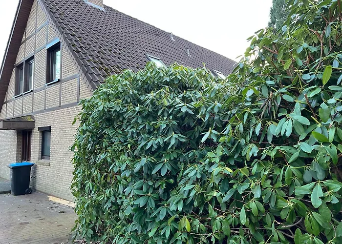 아파트 Goder 95168 *